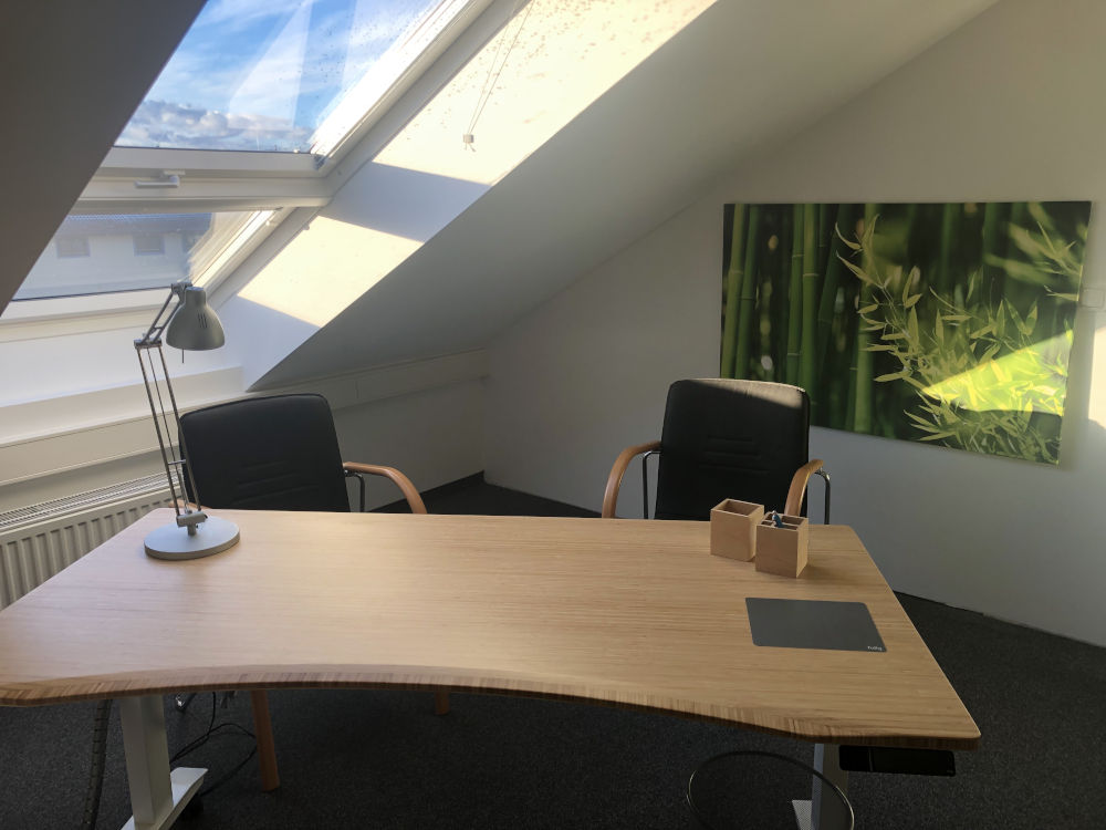 Co-Working Space Büro Move am Tag mit Bambus Bild